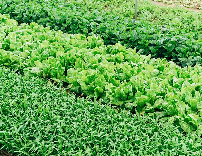 Why a Euphoria cloud-based PBX works best